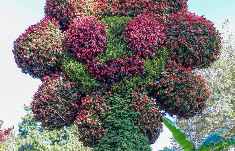 Blumeninsel Mainau