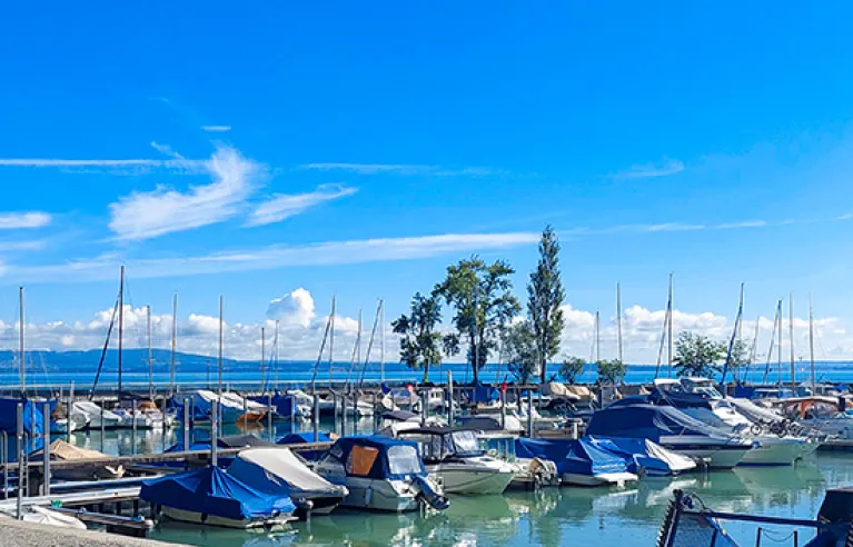 Blick auf den Bodensee