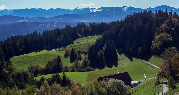 Aussicht vom Pfänder auf die Alpen